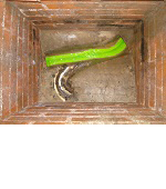 Foul Drainage