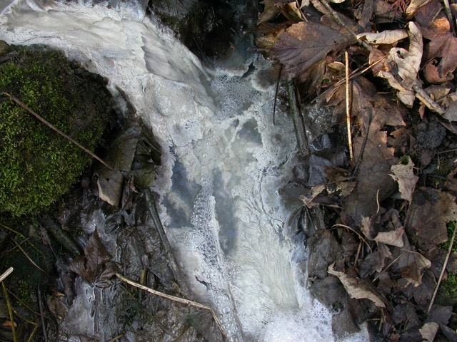 Environmental Survey and Legal Compliance