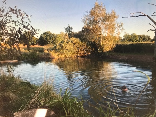 Natural Swimming Ponds